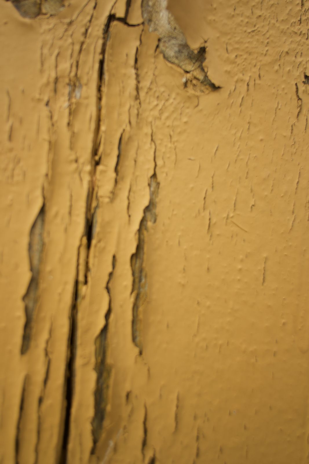 Paint, peeling